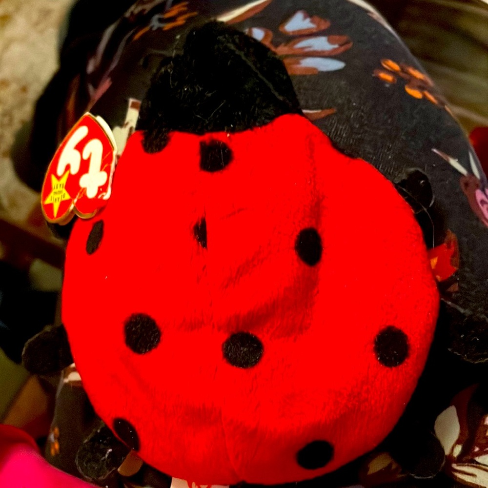 Lucky # 4040 lady bug Beanie Babies